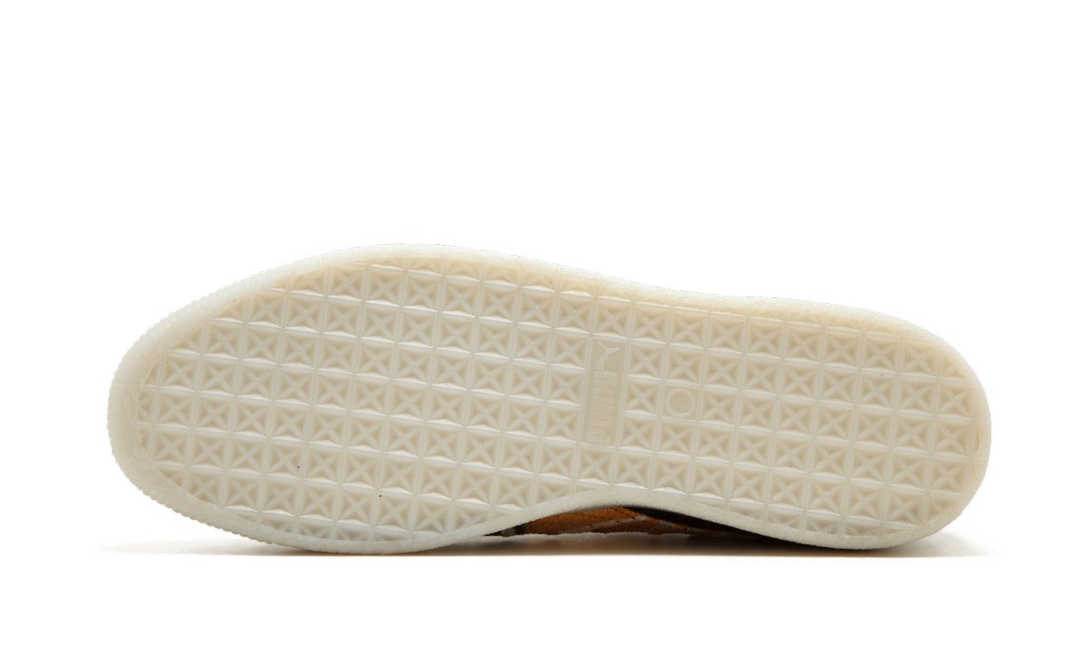 Clyde Coogi Fs 364908 01