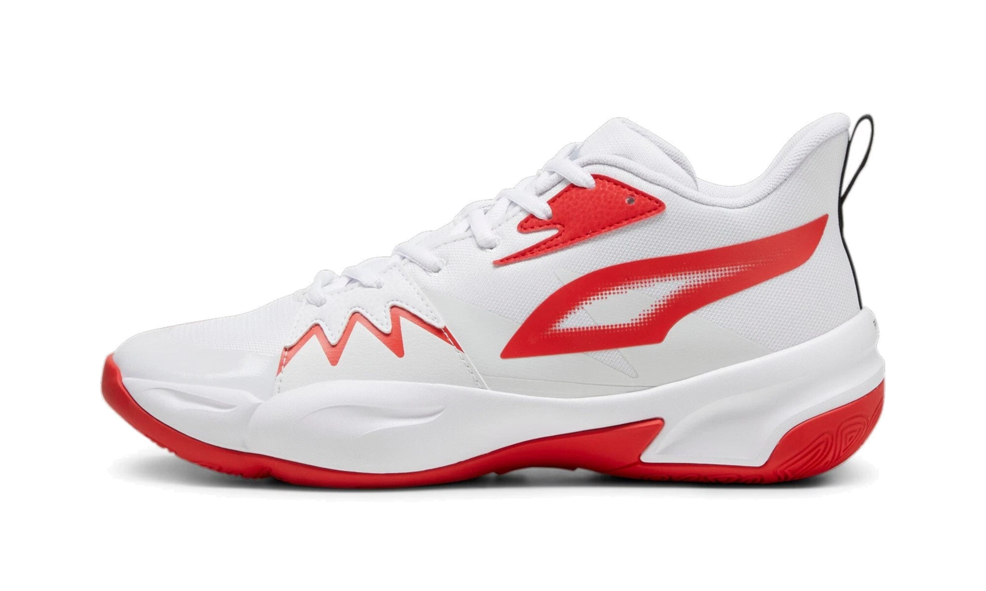 Genetics "White for all time red" 379974 04