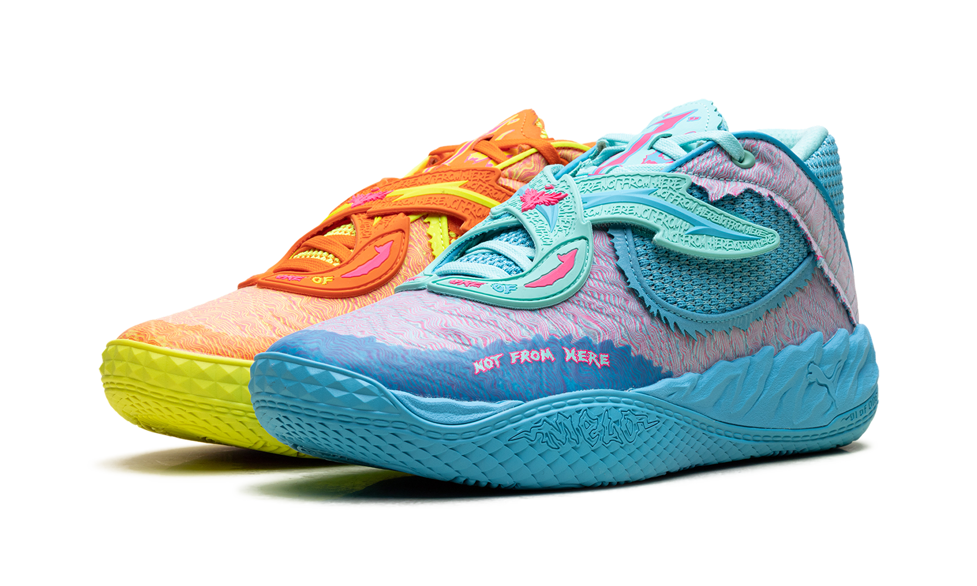 Lamelo Ball Mb.05 "Rick and morty" 31213001