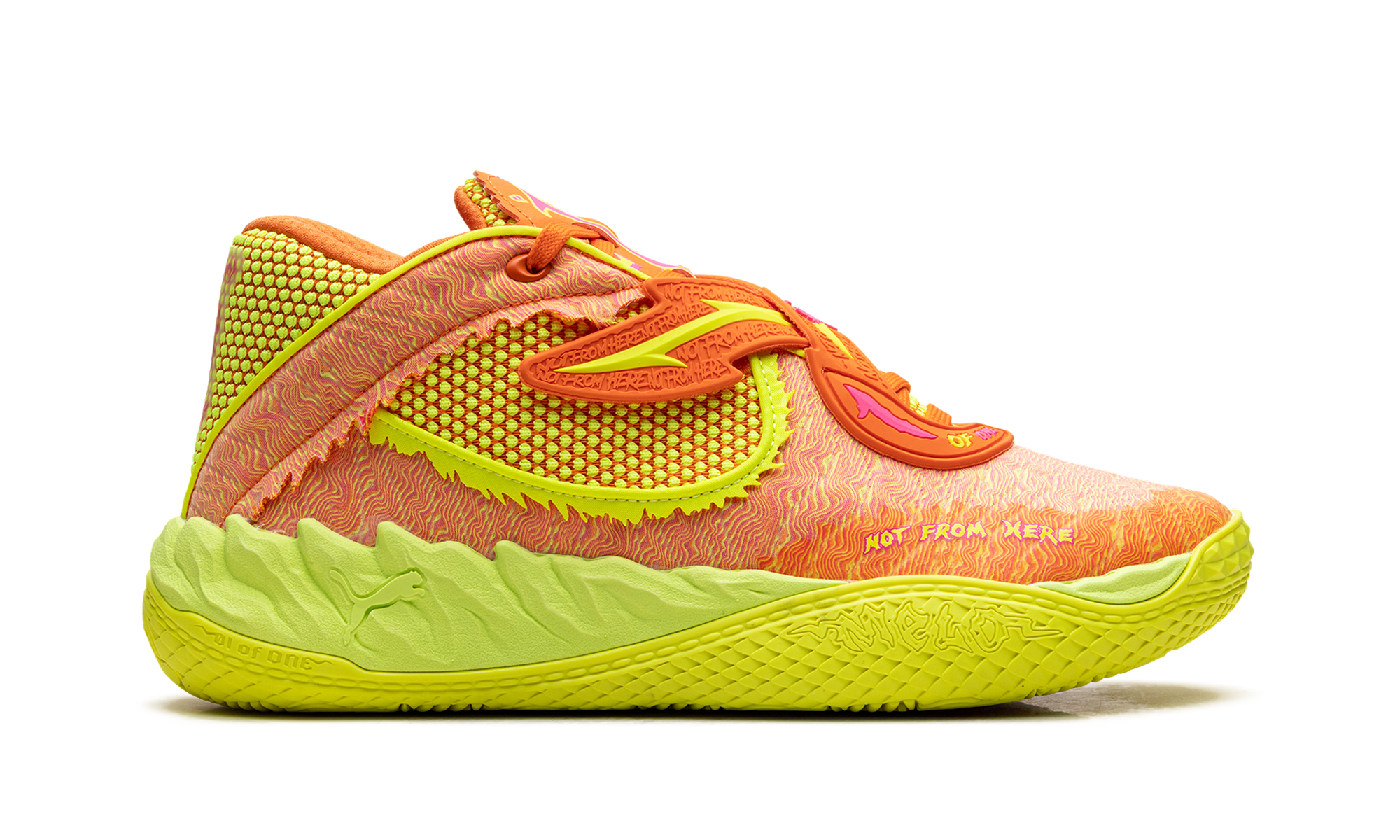 Lamelo Ball Mb.05 "Rick and morty" 31213001
