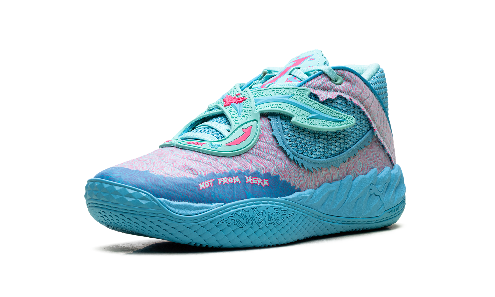 Lamelo Ball Mb.05 "Rick and morty" 31213001