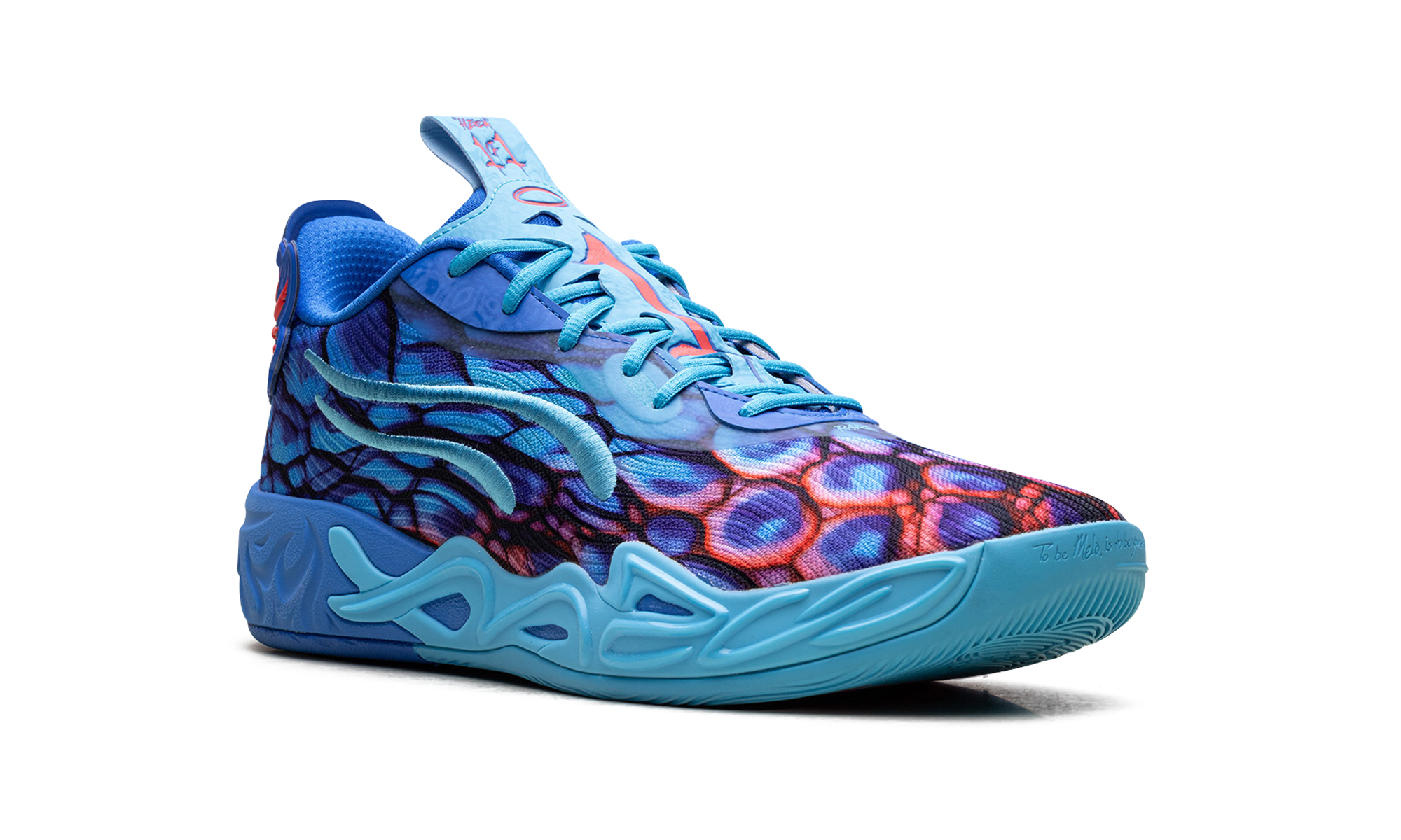 Mb.04 Low "Alien skin" 311318 01