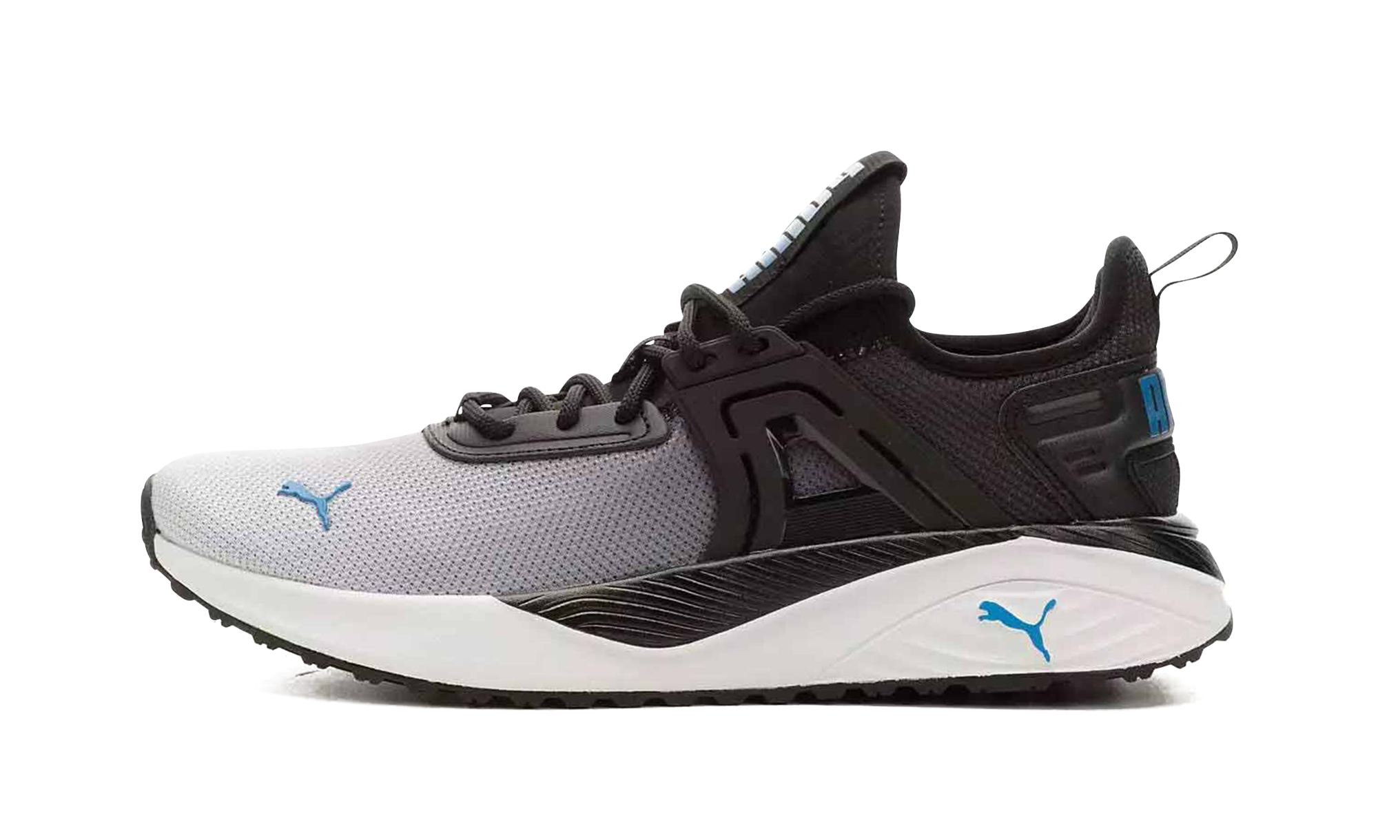 Pacer 23 "Fade" 395131 03