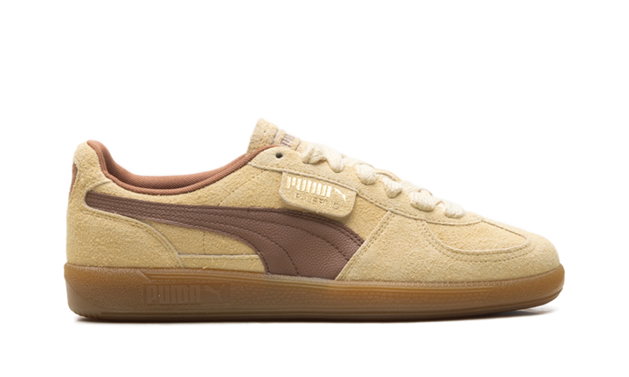 Palermo OG "Chamomile brown mushroom" 397251 01
