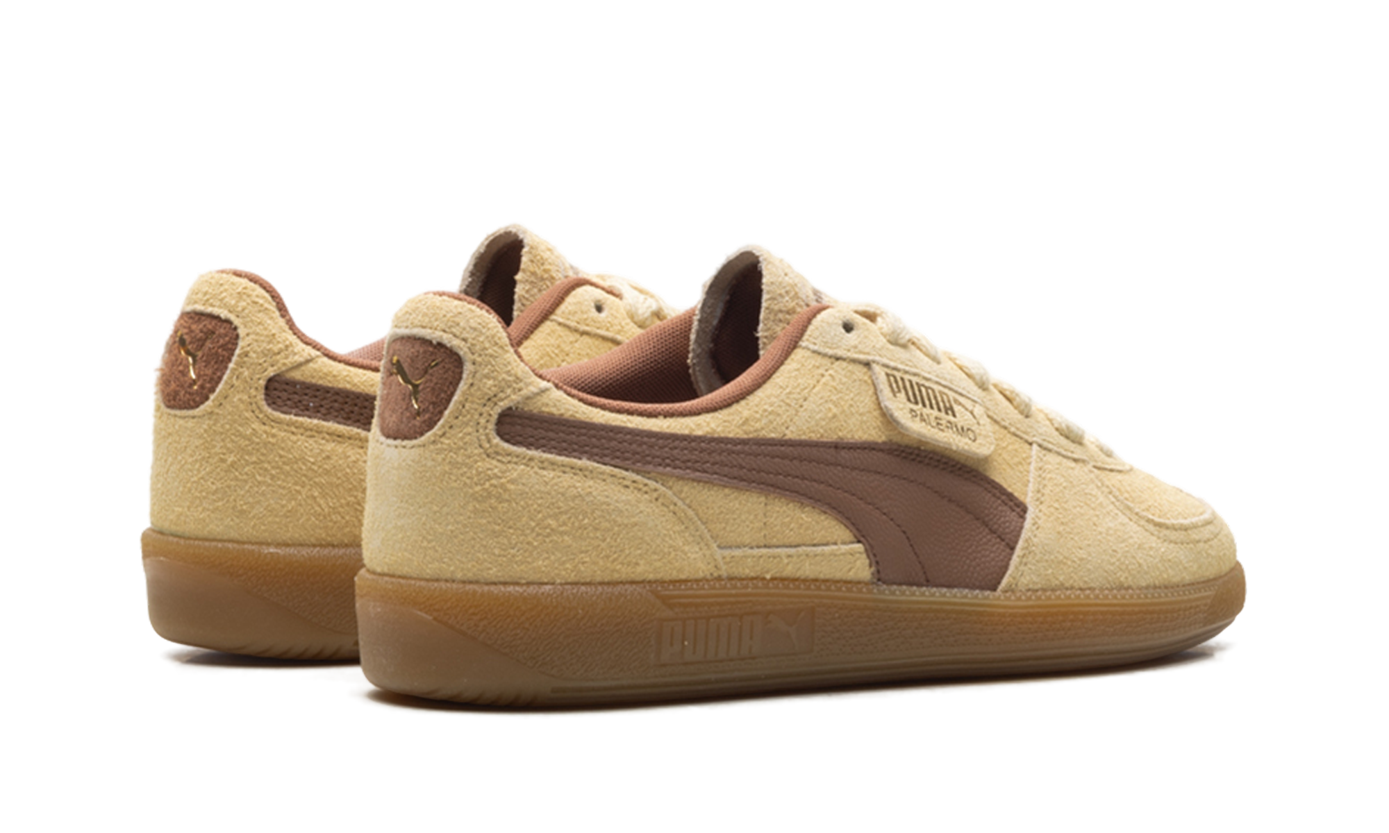 Palermo OG "Chamomile brown mushroom" 397251 01