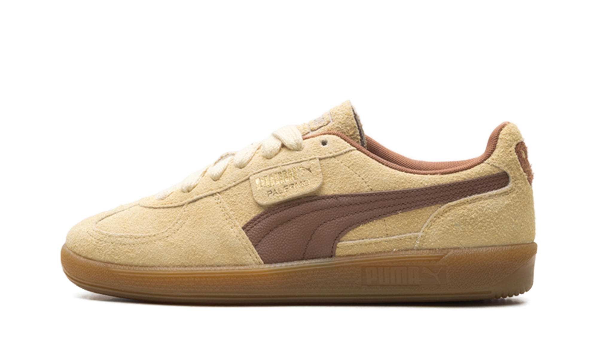 Palermo OG "Chamomile brown mushroom" 397251 01