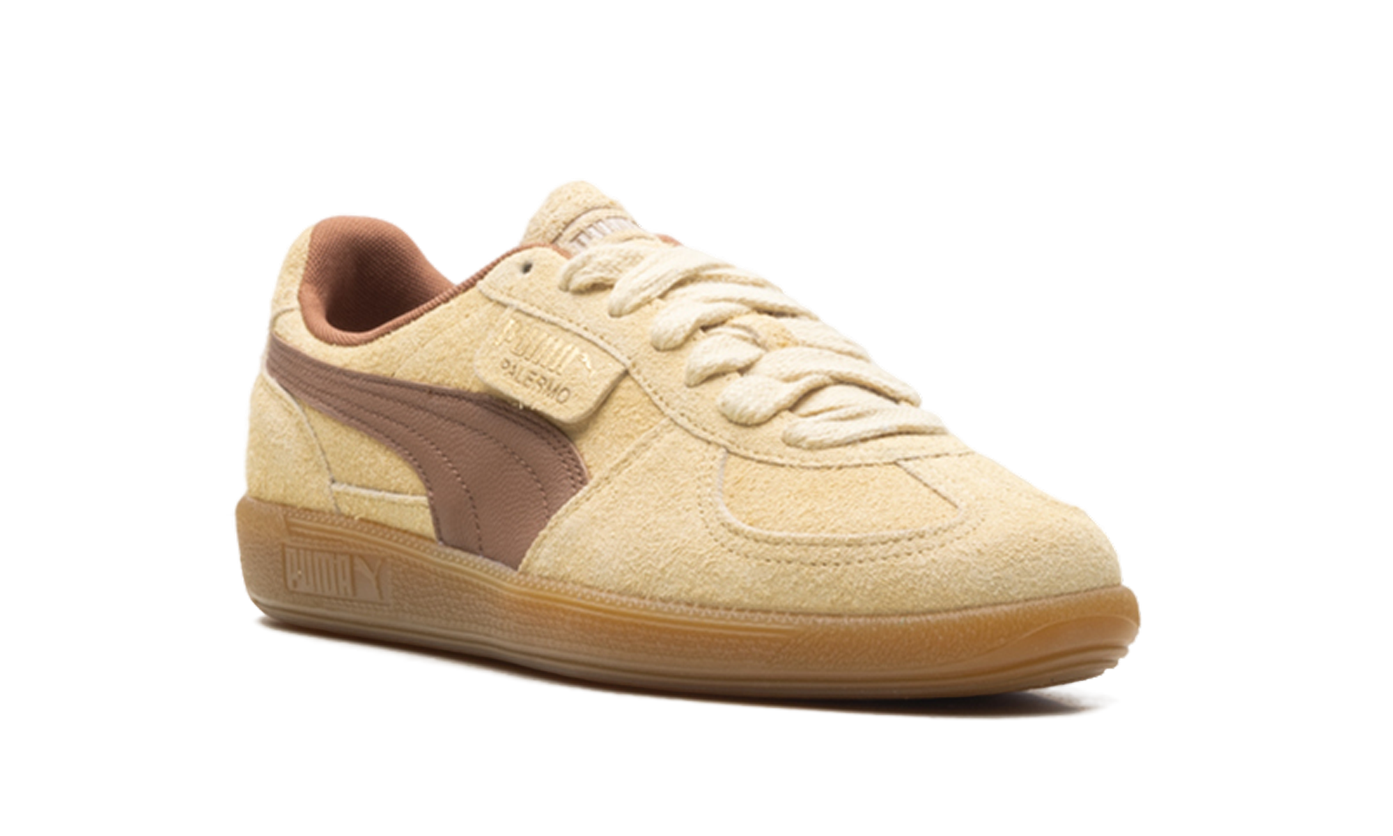 Palermo OG "Chamomile brown mushroom" 397251 01