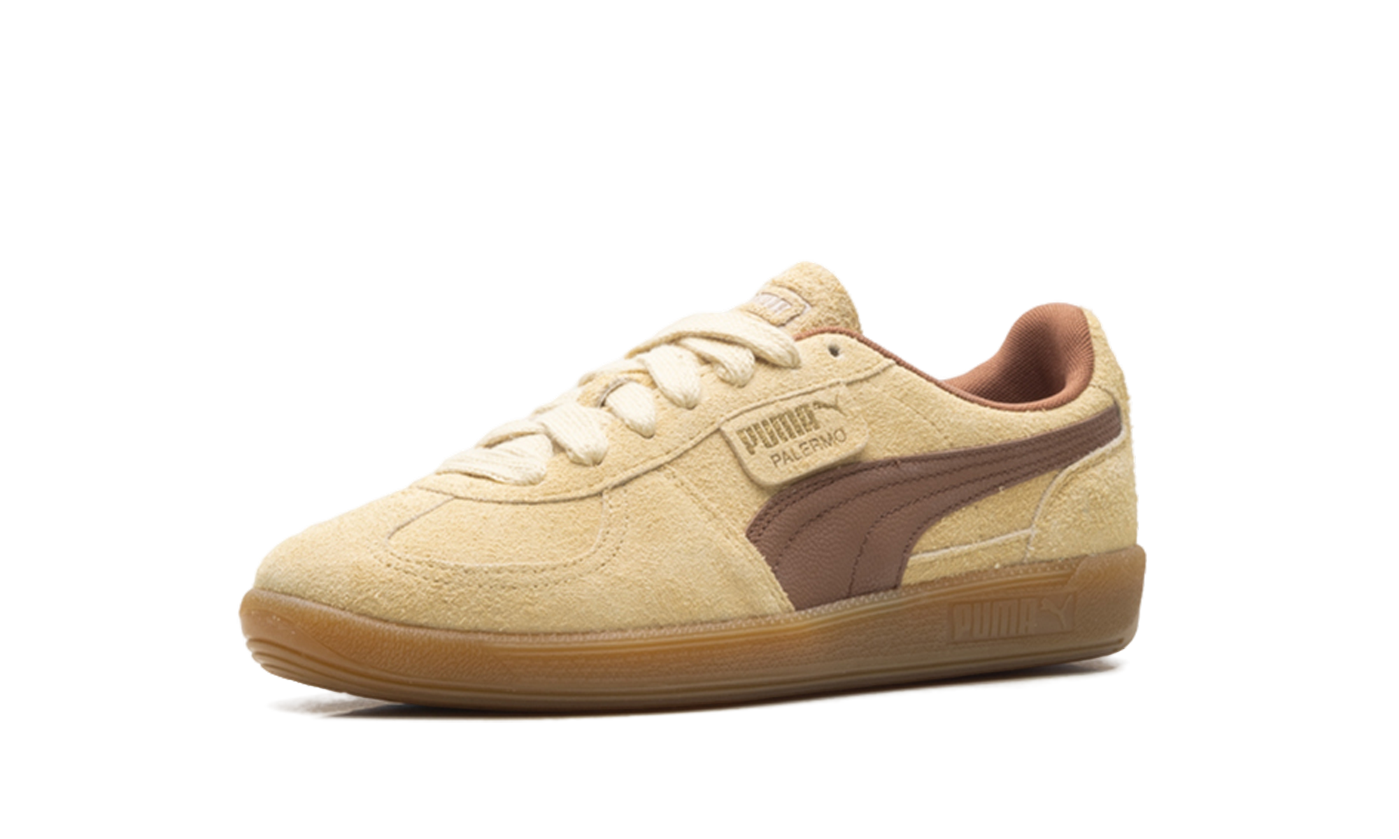 Palermo OG "Chamomile brown mushroom" 397251 01