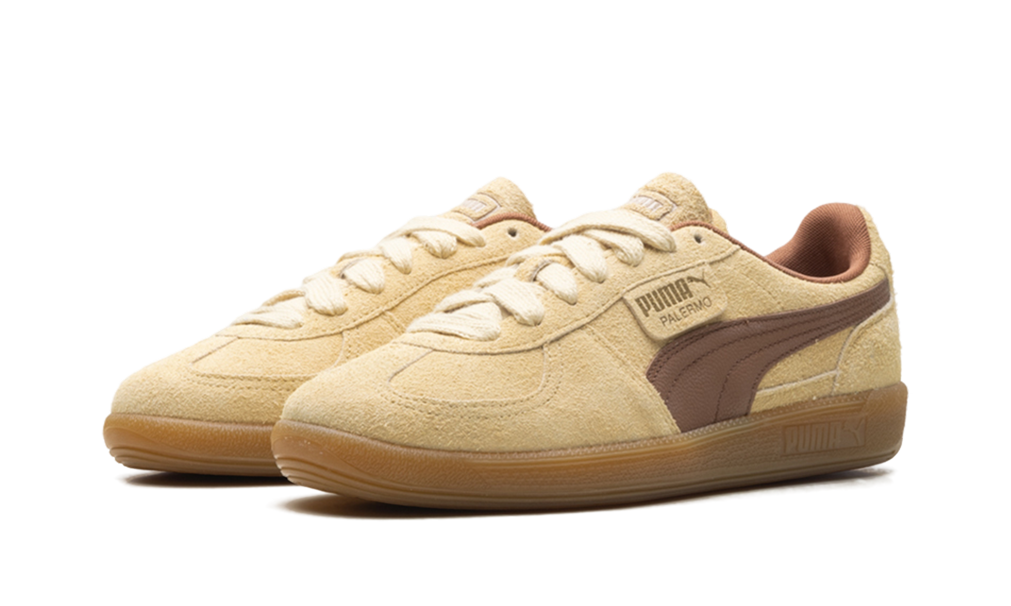 Palermo OG "Chamomile brown mushroom" 397251 01