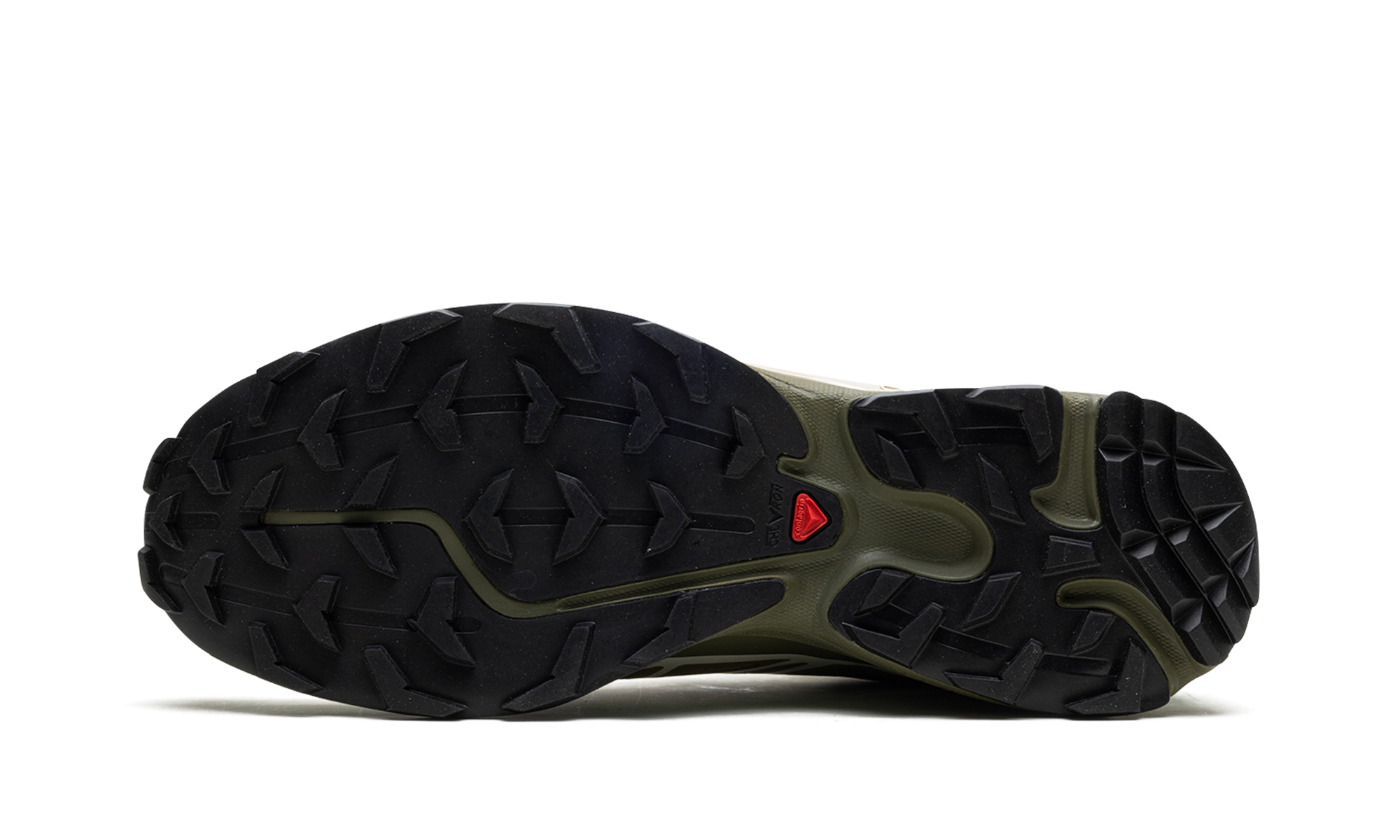 Xt-6 "Dried herb" L47293500