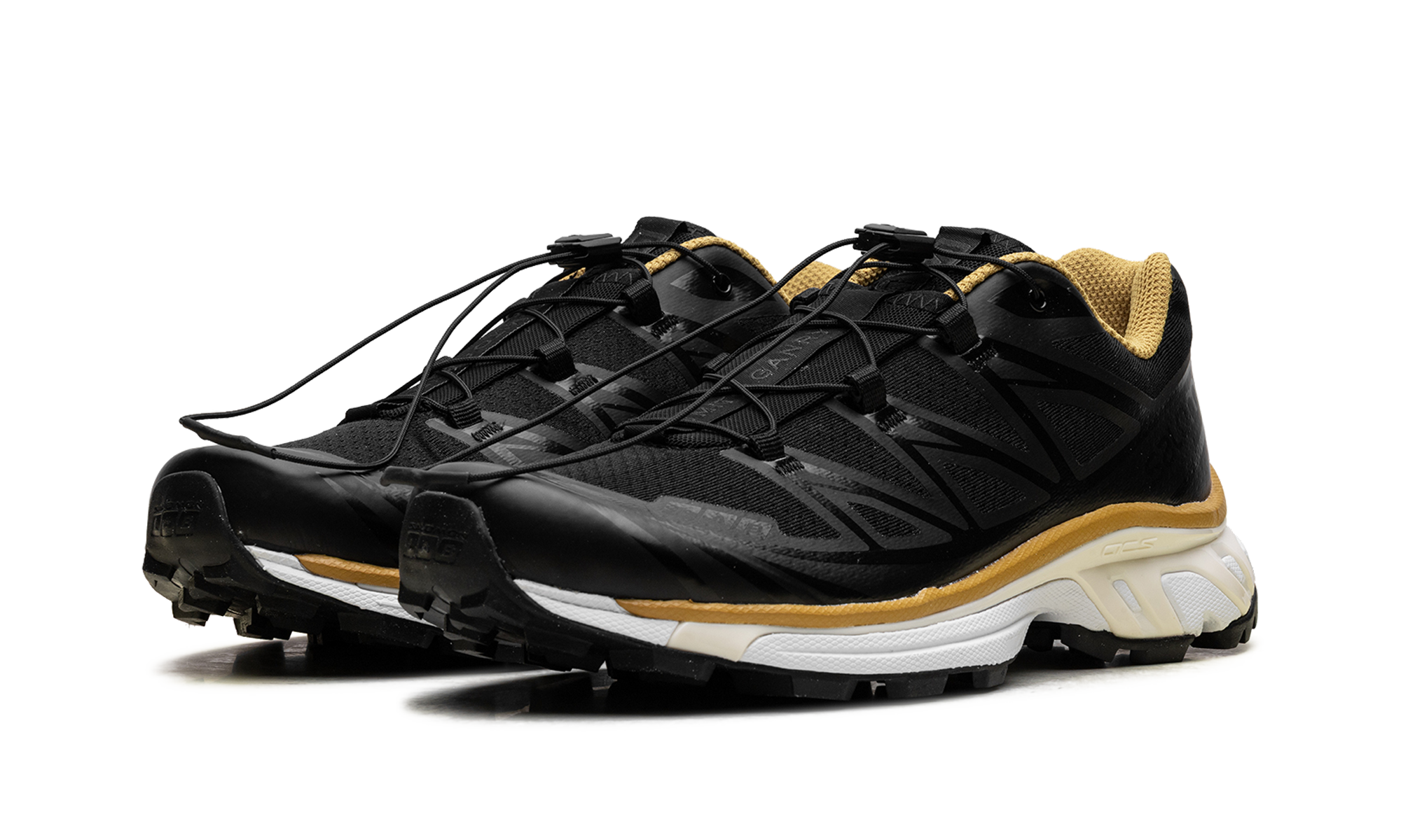 Xt 6 "Fumito ganryu - black arrowwood" L41093900